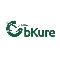 bKure logo - Similar company to Flwstate Media
