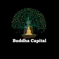 Buddha Capital logo - Similar company to Chouhan Enterprises
