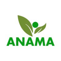 Anama Consulting logo - Similar company to Monev Studio Global