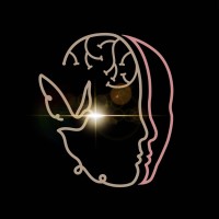 Synapvis | Neurociencias Cognitivas Aplicadas logo - Similar company to Reaally