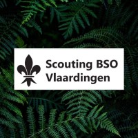 Scouting BSO Vlaardingen logo - Similar company to Bso Buiten Baarn