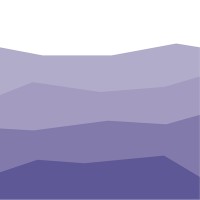 Steelray Software