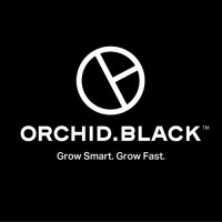 Orchid Black logo - Similar company to Finlistics Solutions