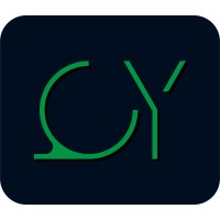 QY Search & Advisory logo - Similar company to Accuphy