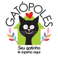 Associação Gatópoles Adoção de Gatinhos logo - Similar company to Professionals 4 Change (P4C)