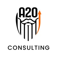 A2O Consulting, LLC logo - Similar company to Accessology