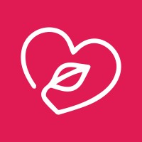 Tourinjapan logo - Similar company to Vision8