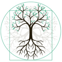 Captain Forest logo - Similar company to Excellent Packaging & Supply