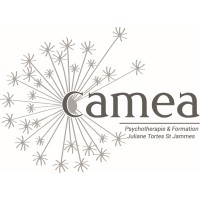 CAMEA logo - Similar company to Edephe