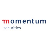 Momentum Securities logo - Similar company to Sa Canvas