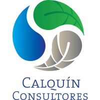 Calquín Consultores logo - Similar company to Simona Costa