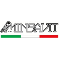 Minsavit s.r.l. logo - Similar company to Aluworking S.R.L. | Together We Improve