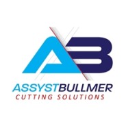 Assyst Bullmer Ltd, UK logo - Similar company to Endoline