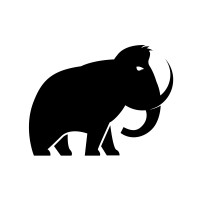 Tiny Mammoth logo - Similar company to Infinite Consulting Services
