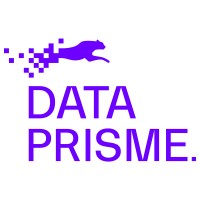 DATA-PRISME logo - Similar company to Data Pour Tous