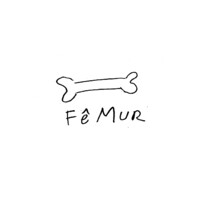 Fêmur