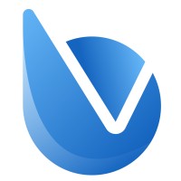 bvise GmbH logo - Similar company to Con It Serv