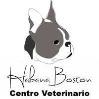 Habana Boston Clínica Veterinaria Boadilla logo - Similar company to Bluevet