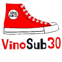 VinoSub30/VinhoSub30 logo - Similar company to Winexplorers