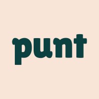 Punt logo - Similar company to Bugdev Studios