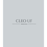 Cleo.UF logo - Similar company to Stilla Uf