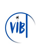 VibtSoft Limited logo - Similar company to Ss3I