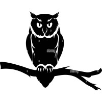 Wisewood Capital logo - Similar company to Executive Leads Llc