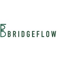 BridgeFlow logo - Similar company to Optimoose