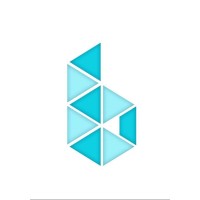 Brainitics Technolabs LLP logo - Similar company to Brandnifty - Make Ad Reach