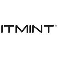 ITMINT logo - Similar company to Lingopraxis - English Speaking Club