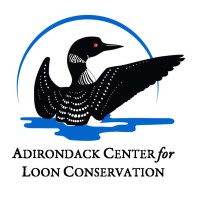 ADIRONDACK CENTER FOR LOON CONSERVATION logo - Similar company to Itdesk