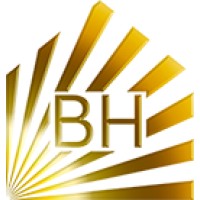 BHDI logo - Similar company to Designtech Global