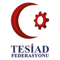 Tesiad Federasyonu logo - Similar company to League Of Codeix