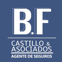 Agente de Seguros, Castillo y Asociados logo - Similar company to Enfoque25