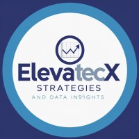 ElevateCX Strategies logo - Similar company to Blue Peak Solutions