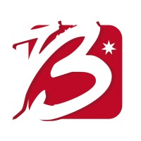 Grupo Balimsa logo - Similar company to Clyma