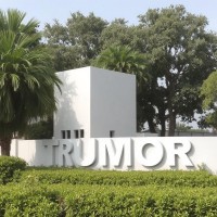 Trumor Training Solutions logo - Similar company to 3M Consultancy