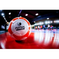 North American Futsal Referee Association logo - Similar company to Minnesota Soccer Referee Administration