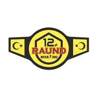 12 Raund Sports logo - Similar company to Fightmatrix.Com, Llc