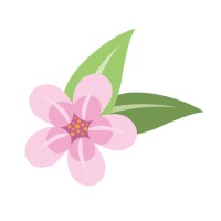 NaturaDiretta logo - Similar company to Amicamì