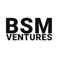 BSM Ventures logo - Similar company to Technovate
