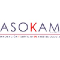 Asokam S.A. De C.V.