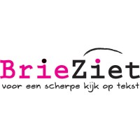 BrieZiet logo - Similar company to Datalover