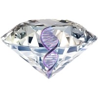 EDNA Labs logo - Similar company to Edna Solutions Ab