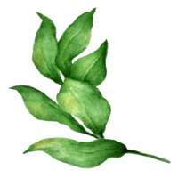 Laurel Associates logo - Similar company to Tmg