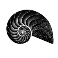 RER Software, Inc. logo - Similar company to Ghi Electronics