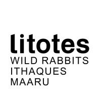 litotes logo - Similar company to Bauwerke
