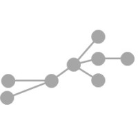 Solution Network México logo - Similar company to Bruning Transformation