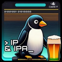 IP & IPAs par Castle IT logo - Similar company to A Vélo 37 🚲📦❄