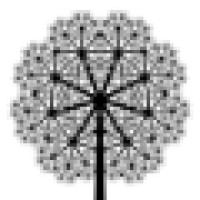 Wallace Tech Law LLC